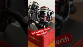 Are KastKing Reels Any Good?
