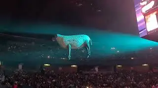 Roger Waters - Sheep (En Vivo CDMX 2022)