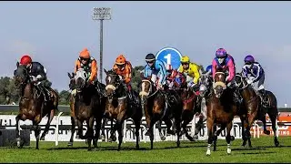 SOUTH AFRICAN TURFFONTEIN LIVE METRICS ANALYSIS
