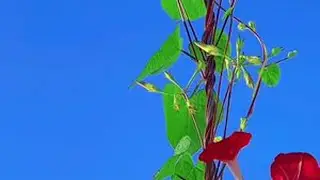 #风景如画的地方 #风光摄影