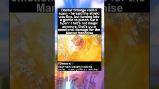 Doctor Strange vs Tiger - Immortal Stone of Nirvana | Martial Arts Action