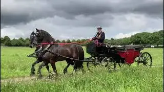 Bordeaux rode koets met 2 Friese paarden, www.stalhouderijhazeleger.nl