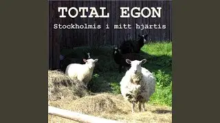Det Var Inte Jag