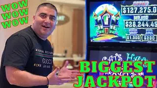 BIGGEST JACKPOT In My Life On Cats Hats & More Bats Lock It Link Slot