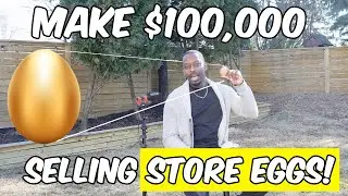 How I Made $100,000 Selling Eggs with No Chickens (Yes, Really!)