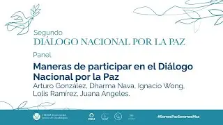 Diálogo Nacional por la Paz. Panel: Maneras de participar en el Diálogo Nacional por la Paz.