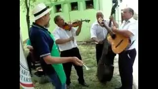 Sz&ouml;r&ouml;s l&aacute;b&uacute; kismacska