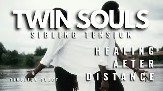 Twin Souls, Sibling Tension: Healing After Distance | Timeless Tarot Reading
