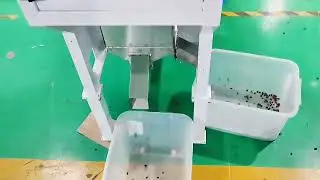 Mini color sorter for roasted coffee bean