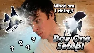 Building a 100-Day Aquarium Paradise | Unveiling Rare Beautiful Fish!