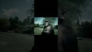 Trunk Monkey 🐒                     #memes #meme #funny #shorts #shortsfeed #trending #youtubeshorts