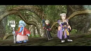 DFFOO Dorgann LC SHINRYU No boss turn + Dorgann LD only - 15 turns - August 2023