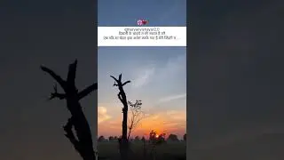 Haryanvi Shayri | haryanvi shayri status |haryanvi sad song | haryanvi shayri video | haryanvi video
