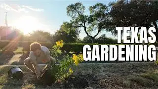 I Asked 3 Nursery Owners What Texans Get Wrong About Gardening
