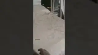 FANTASMA DE MARIA APARECEU EM M&Aacute;QUINA #shorts