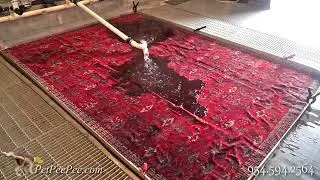 Removing the urine odor from Oriental rug Chemicals free