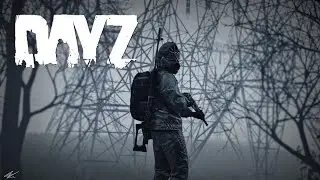 DayZ Survival