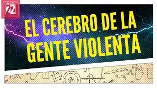 El cerebro de la gente violenta