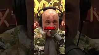 🔥Why the UFC Needs More Weight Classes🥩
