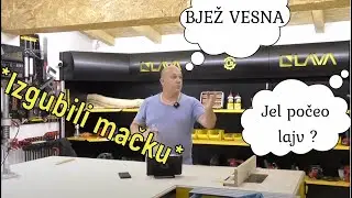 VESNA UPALA U LAJV, IZGUBILI MAČKU! *SMEŠNI MOMENTI IZ LAJVA*