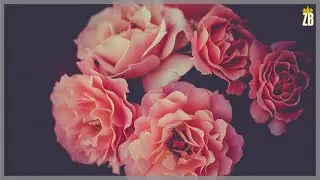 [Soul] Space Soul lofi  instrumental Beat Produced by Zaidi Boy | 2k19