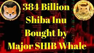 Breaking Crypto News | 384 Billion Shiba Inu Bought by Major SHIB Whale