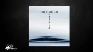 Auto Aggression - Reflector