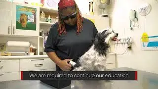 Red Oak Animal Hospital Red Oak Georgia 30272
