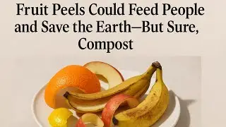 Fruit Peels Could Feed People and Save the Earth&mdash;But Sure, Compost.