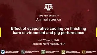 Effect of Evaporative Cooling on Finishing Barns- Jeff Wiegert