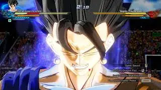 Ultra Instinct Vegito VS Time Breaker Vegito Blue
