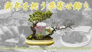 新年を祝う季寄せ飾り～松と梅、一鉢で感じる春の兆し～