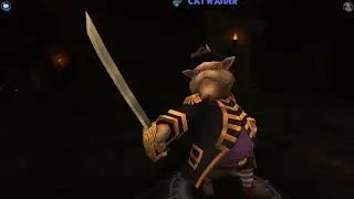 Pirate101 - All CatBeard Criticals