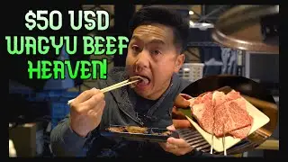 $50 USD ALL-YOU-CAN-EAT WAGYU IN SHINJUKU JAPAN!