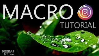 Click Incredible macro pictures on any MOBILE!!