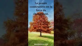 Constructive thinking:#resonancepositive,#Pens&eacute;eConstructive, #BienEtreMental,#R&eacute;flexionConstructive