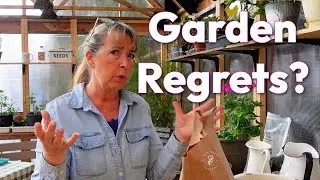 Garden Regrets - Potting Overwintered Geraniums - Gomphrena Update