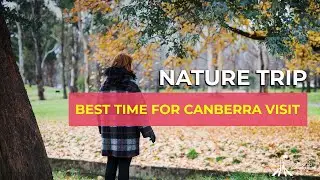 The Trees And Gardens Of Canberra by Canberra Guided Tours