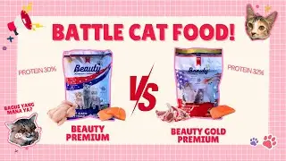 BATTLE CAT FOOD BEAUTY PREMIUM VS BEAUTY GOLD PREMIUM! Bagus yang mana ya?? | Radiokucing #187