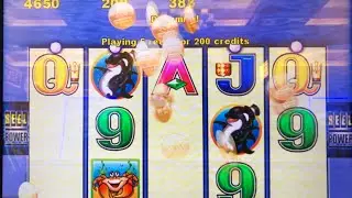 🐳Whales of Cash🐳 Huge Win. Original Version. Las Vegas Max Bet!!!!! #johnnyhahnwins