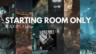STARTING ROOM ONLY (black ops 2 zombies)