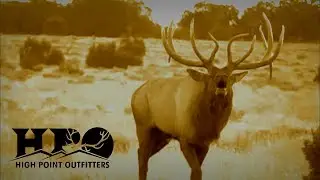 Arizona Elk, Antelope and Deer Hunting With High Point Outfitters!