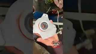 Magnet Seal Shell Cat Fitting By Lala G Honda Bike Specialist