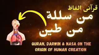 Quran, Darwin & NASA on the Origin of Human Creation#quran #quranandscience #science #islamic