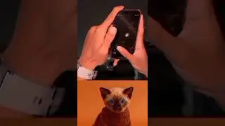 FUNNY MOMENTS of taking picture 😁 #shorts #viral #viralshorts #trending
