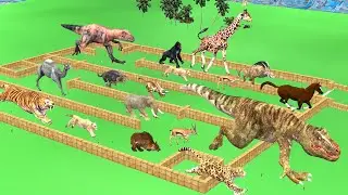 Wild Animals and Dinosaur Bombs Place Death run race|Animals Doodles TV|animals revolt battle  game