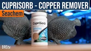 Copper Or Heavy Metals In Your Reef Tank?! Seachem CupriSorb Can Help Remove Them.