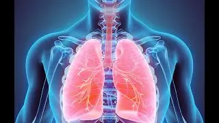 Blutsauerstoff zu gering | Es h&ouml;rt halt einfach nicht auf  | Die n&auml;chste Krankheit: #Hypox&auml;mie