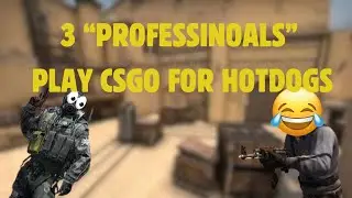 PROTESTING HOTDOG PRICES IN CSGO