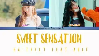 HA:TFELT (핫펠트) - SWEET SENSATION FEAT. SOLE COLOR CODED LYRICS (HAN|ROM|ENG)